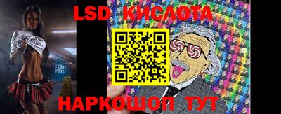 мяу мяу мука Краснознаменск