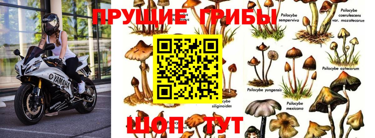 Галлюциногенные грибы Magic Shrooms  Вход с VPN  Избербаш 