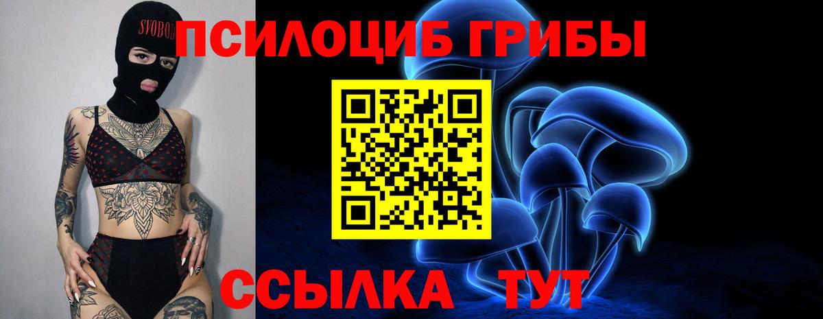 Галлюциногенные грибы Cubensis Избербаш