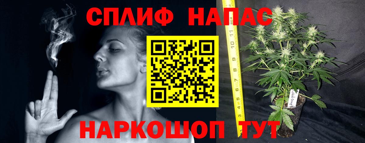 Каннабис индика Избербаш